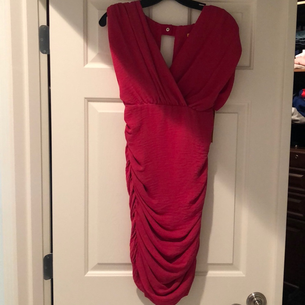 NWT Alice and Olivia Pink dress